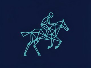 netzreiter.org logo